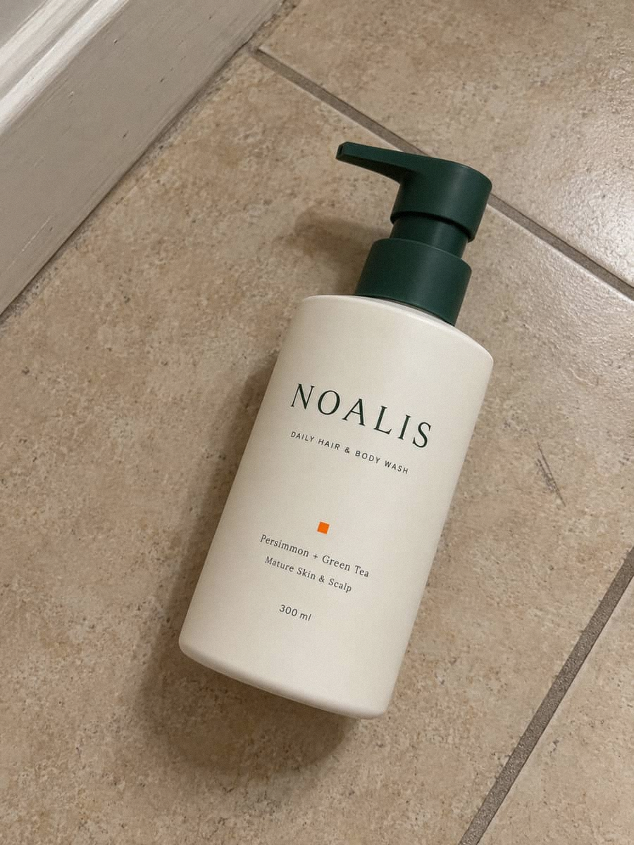 Петър Стоянов с NOALIS